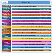 عملکرد چند شرکت در یک قاب