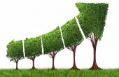 سرآغاز موج صعودی صندوق ها
