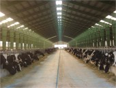 مکانیزه اصفهان کشت چهارشنبه هفته جاری  با عرضه اولیه مهمان فرابورس شد