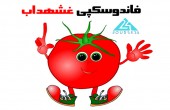 تحولات شهداب در قاب جدید