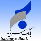 آخرین تحولات بانک سرمایه بررسی شد
