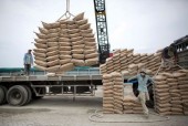 دیدگاه متفاوت درباره مثبت سهام سیمانی در بورس
