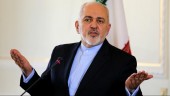 ظریف: در دنیا باید احساس شود، که حرف وزارت امور خارجه حرف کل کشور و حاکمیت است 