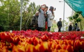 لاله برای مادران 