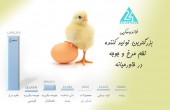 سیمرغ چقدر می ارزد؟