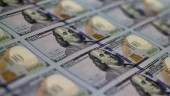 دلار دست بردار نیست؛ فعالان بازار مواد خام بخوانند!