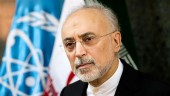 یادداشت رئیس سازمان انرژی اتمی در نشریه فرانسوی لوفیگارو/ راهی برای خروج از این بن‌بست وجود دارد؟