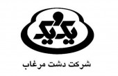 «غدشت» و تکمیل یک الگوی اصلاحی...