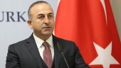 وزیر خارجه ترکیه: تحریم‌ ها علیه ایران به منطقه زیان می‌ رساند 