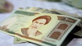 تحلیل و پیش بینی معاون پژوهشی پژوهشکده پولی و بانکی از ارزش سهام و کالاهای خرد پس از حذف چهار صفر