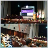 اخبار مجمع تیپیکو را اینجا دنبال کنید 