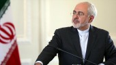 ظریف: تا پنج شنبه، گام سوم را بر می‌ داریم، اگر... 