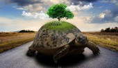 هفت تمرین برای شناسایی سود در بورس