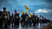 رئیس سازمان حج و زیارت: امنیت مسیر زائران اربعین حسینی تامین شده است 