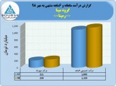 عملکرد گروه مپنا در نیمه نخست چگونه بود؟