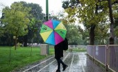 هوای ۹ استان بارانی می‌شود