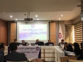 مجمع بیمه آرمان سودی برای تقسیم نداشت