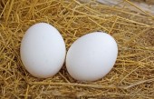 پیشنهادی به بزرگی «فارس» و...