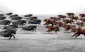وقتی از ریسک ها می گویند اما کسی نمی شنود!