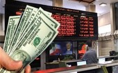 روند صعودی شاخص با رشد نرخ دلار در بازار ارز