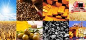آرامش آخر هفته کالایی‌ ها 
