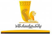 عوامل بنیادی که باعث جذابیت «وپاسار» شده است