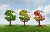 هفته خاکستری صندوق های سهامی