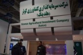 اخبار مجمع سرمایه گذاری کشاورزی کوثر را اینجا بخوانید 