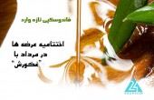 اختتامیه عرضه ها در مرداد با "غکورش"