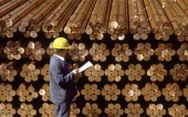  تکرار ثبت رکوردهای تاریخی در سهام فملی 