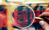 بورس بازان ؛ محافظه کارتر از همیشه!!