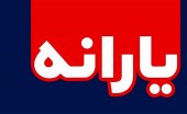 مجلس تصویب کرد؛ افرادی که یارانه نمی گیرند می توانند مجددا درخواست دریافت یارانه کنند