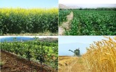 نگاهی به سودآوری «زشگزا» طی سالهای اخیر