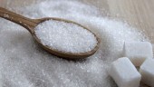 ارز مورد نیاز واردات شکر از ۴٢٠٠ تومان به نرخ آزاد تغییر یافت/ جزئیاتی بیشتر درباره الزامات جدید برای تولیدکنندگان