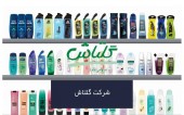 بررسی عملکرد و سودآوری «شگل» طی سال مالی ٩٩