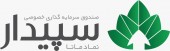 سپیدار؛ صندوقی برای سرمایه‌گذاران بزرگ، با اهداف بلندمدت‌تر و ریسک‌پذیری بالاتر