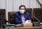 همتی: ارز ۴۲۰۰ تومانی را قبول ندارم/ معتقد به ارز چند نرخی نیستم/ باید مراقب شوک حاصل از حذف ارز یارانه‌ای باشیم
