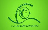 نگاهی به NAV و نحوه قیمت گذاری «زکوثر» در بازار!