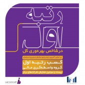 رتبه اول «تامین سرمایه نوین» در شاخص بهره‌وری