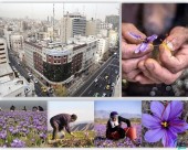 نزدیک به ۱.۵ تن طلای سرخ معامله شد؛ ادامه روزهای زعفرانی بورس کالا