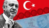 ترکیه در آستانه بحران ارزی جدید؛ اردوغان بار دیگر اشتباه کرد!