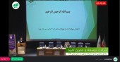 مجمع «ثامید» چقدر سود تقسیم کرد؟