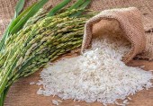 کارشناس بازار سرمایه مطرح کرد؛ ۳ کارکرد اصلی گواهی سپرده برنج برای کشاورزان