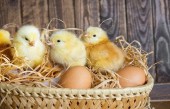 سهم هایی برای خرید و نگهداری