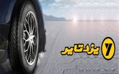 نگاهی به عملکرد و سودآوری «پیزد» طی سال ٩٩