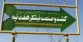 رای ابطال واگذاری هفت تپه صادر شد