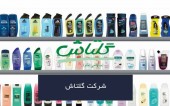 نگاهی به عملکرد «شگل» و پیش بینی سودآوری آن طی سال جاری