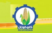 عملکرد ۷ ماهه غگل با کسب درآمد ۵۰۵.۵ میلیارد تومانی