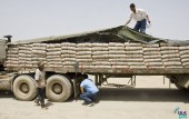 محصول ۴ شرکت سیمانی در بازار اصلی بورس کالا پذیرش شد؛ شمارش معکوس برای خروج سیمان از نظام قیمت گذاری 