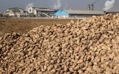نگاهی به وضعیت «قچار» 